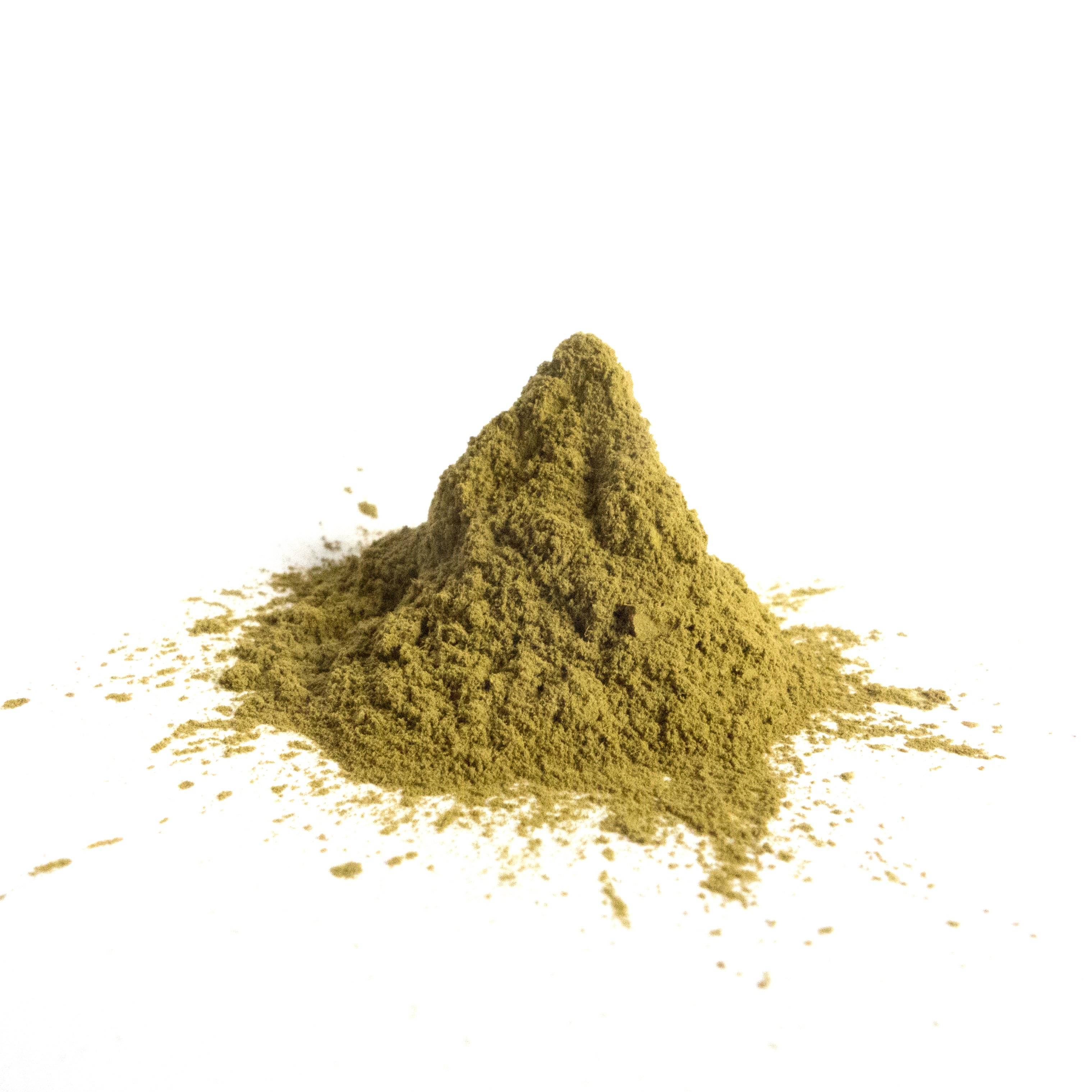 Aspergillus Sojae Fermentation Culture