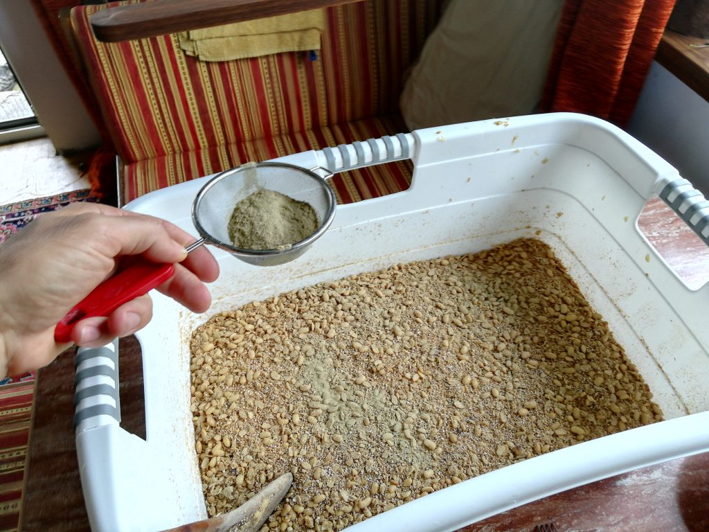 Spreading the spores over the mixture of soy and wheat