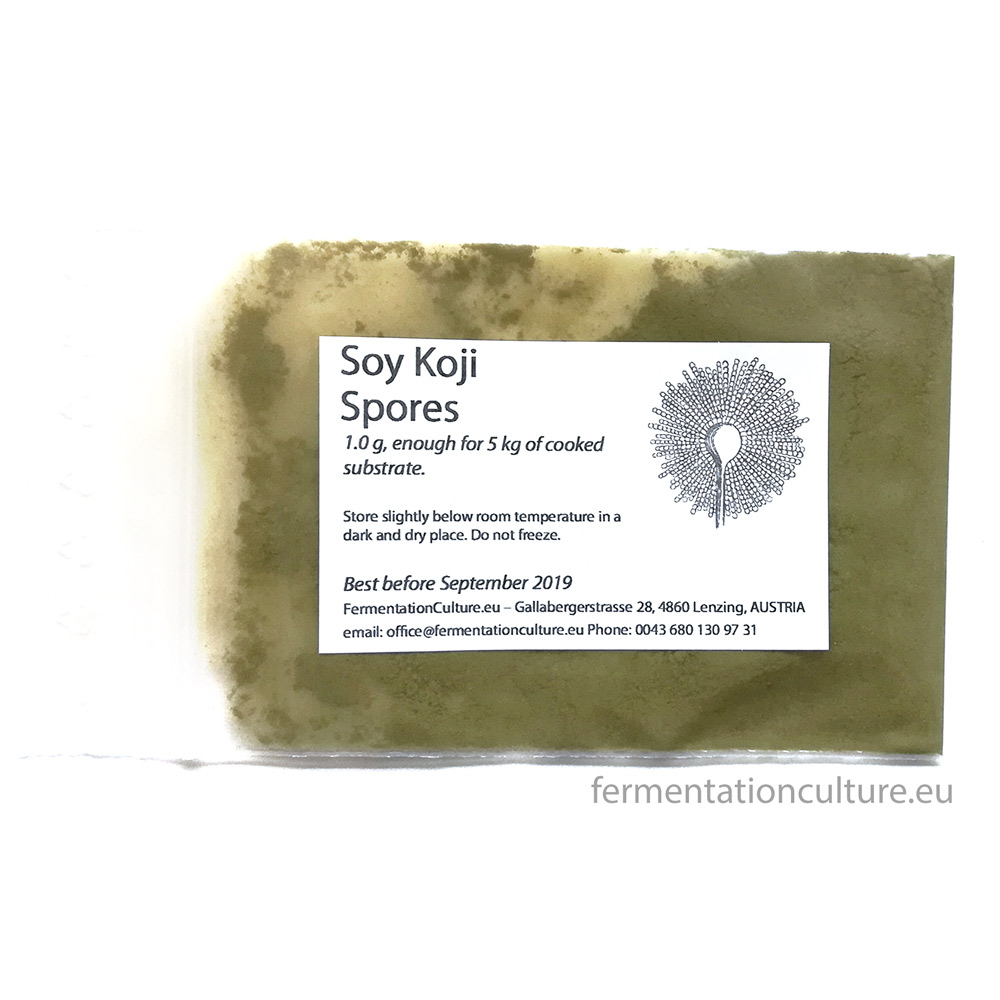 Soy Koji Spores fermentationculture.eu